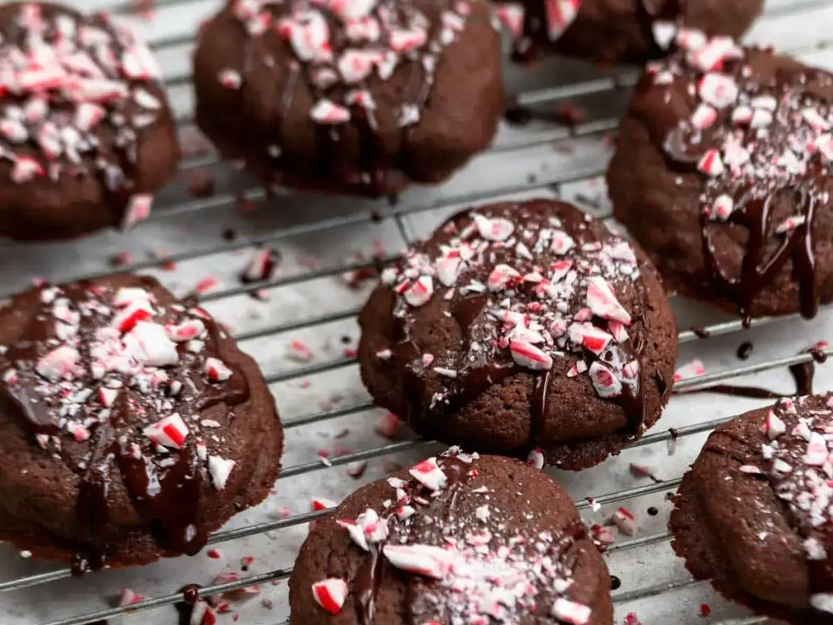 Swig Menu 129 Chocolate Peppermint Cookie 1 edited